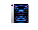 IPAD PRO 12.9-INCH WI-FI + Cellular 6th Gen Silver 128GB